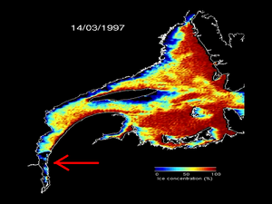 Flèche rouge indiquant qu’il n’y a pas de glace là où se jette le Saguenay dans le St-Laurent en date du 14 mars 1997