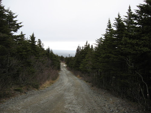 Chemin entre Pouch Cove et Cape St-Francis.
