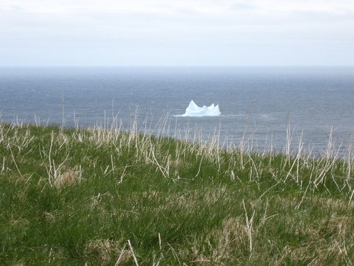 Iceberg vue de Signal Hill à St-John’s