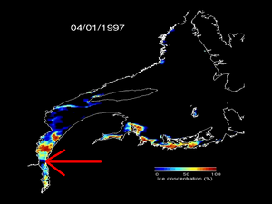 Flèche rouge indiquant qu’il n’y a pas de glace là où se jette le Saguenay dans le St-Laurent en date du 4 janvier 1997