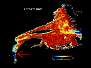Flèche rouge indiquant qu’il n’y a pas de glace là où se jette le Saguenay dans le St-Laurent en date du 26 février 1997