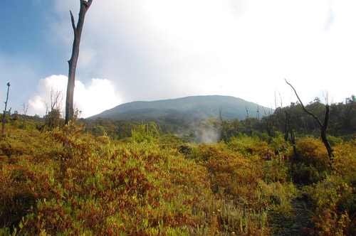 Vue à la base du Nyiragongo