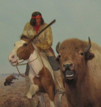Métis sur un cheval avec un fusil chassant le bison