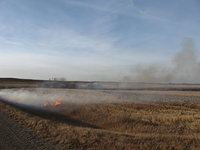 Petit feu de prairie sur le bord de la route au Manitoba
