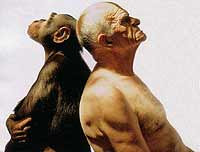Un singe et un homme dos à dos
