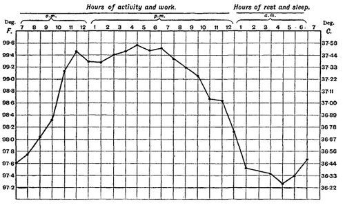 Graphique illustrant la variation de la température corporelle au cours d’une journée